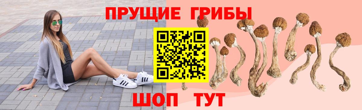 Сибай  Галлюциногенные грибы прущие грибы  Вход с VPN  Псилоцибиновые грибы ЛСД 